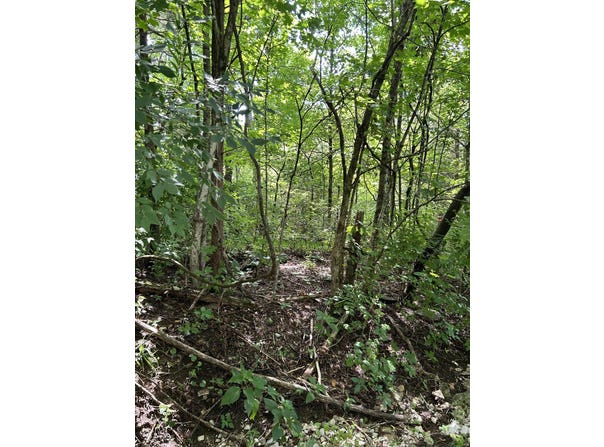2184 Shadrick Ferry Road, Frankfort, KY 40601