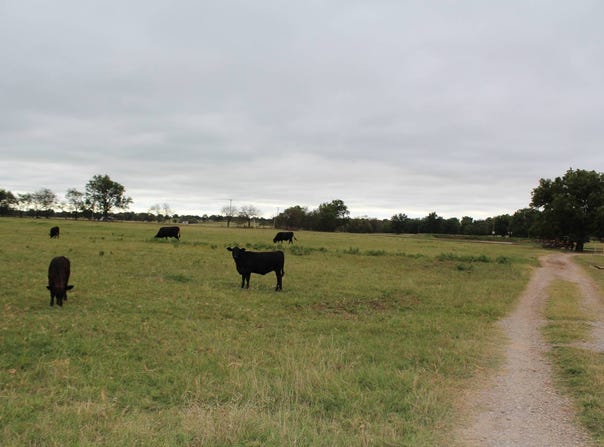 TBD E1720 Rd, Elmore City, OK 73433