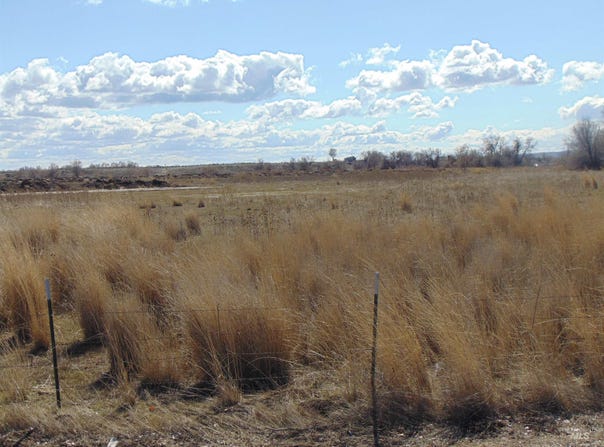 Malheur Drive, Ontario, OR 97914
