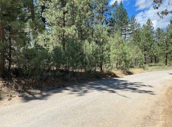 200 Idle Hour Drive, Portola, CA 96122