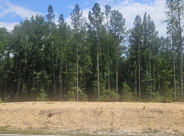 Lot 1 County Line Road, Mitchell, GA 30820