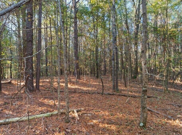 Jimmie Drive, Forest, MS 39074