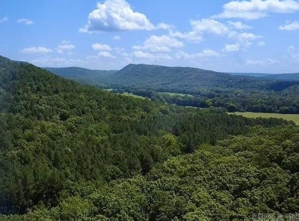 0 JTK S jtk road Bluffs, Shirley, AR 72153