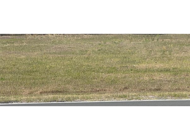SOUTHEAST SUNSET HARBOR ROAD, SUMMERFIELD, FL 34491