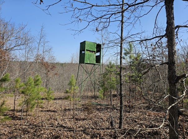 010 Tomahawk Slab Road, Saint Joe, AR 72675