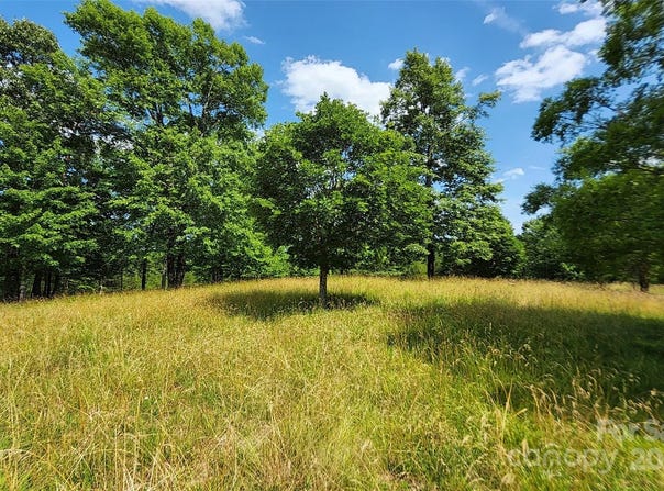 Mountain Parkway unit: 52/53/54, Mill Spring, NC 28756