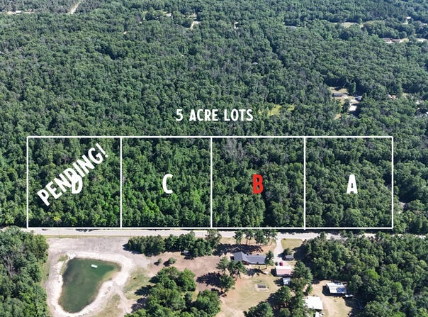 Par B W Almy Road, Howard City, MI 49329