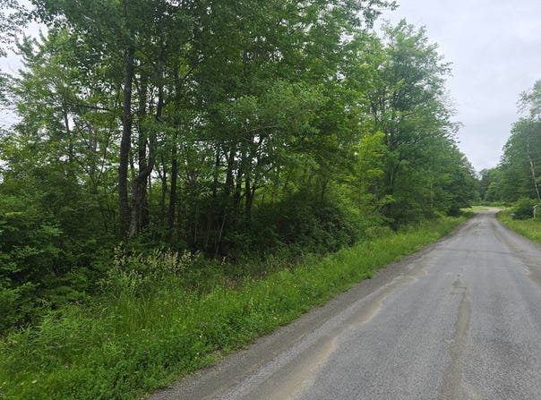 0WP Musson Erwin Rd, Butternuts, NY 13843