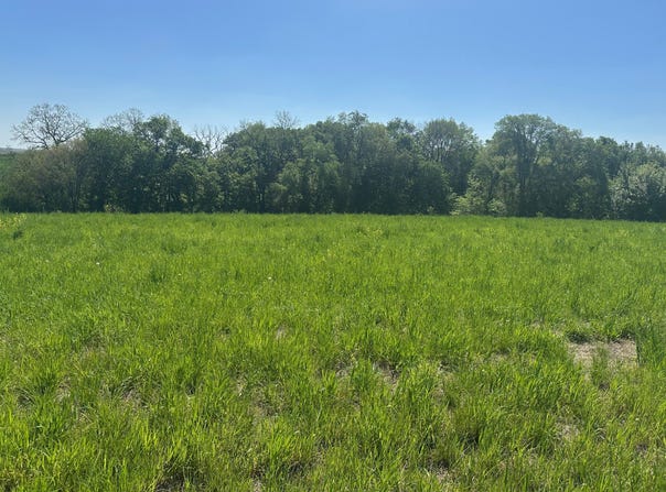 55623 230th Street, Glenwood, IA 51534