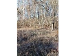 3512 CR Tract 1, Clarksville, AR 72830
