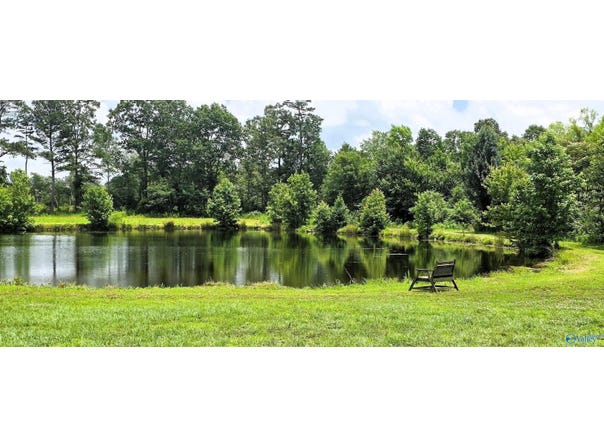 354 County Road 162, Henagar, AL 35978