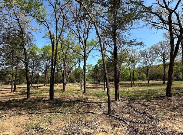 Tbd Lot 5 Cr-197, Gainesville, TX 76240
