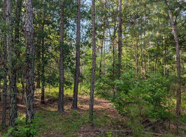 Lot 1 Marshall Road, Appling, GA 30802