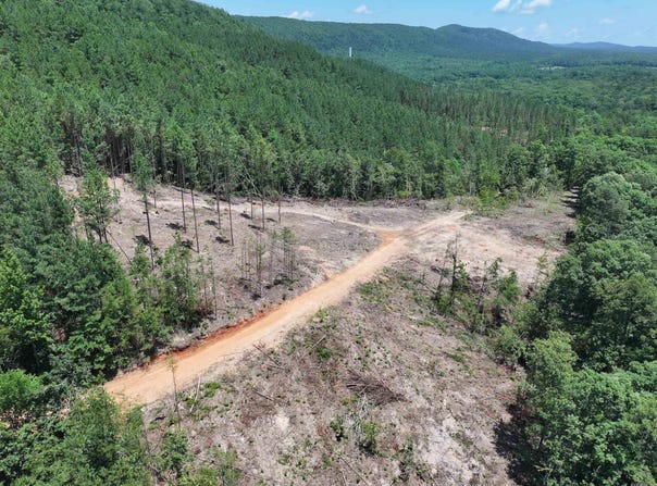 XXX Palmer Mountain Road, Caddo Gap, AR 71935