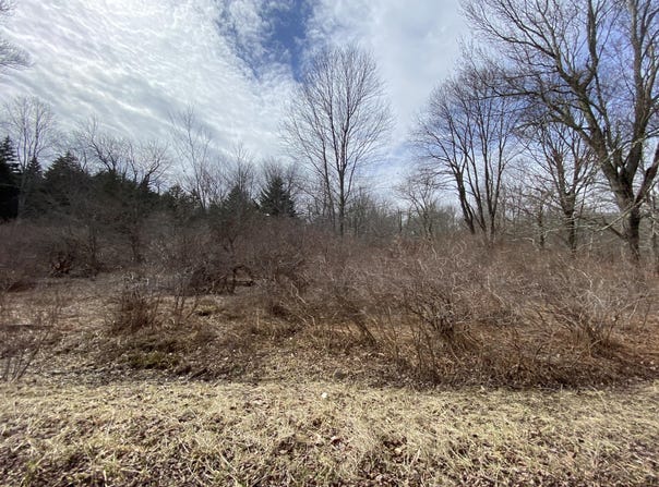 909 Wadi Road W, Pocono Lake, PA 18347