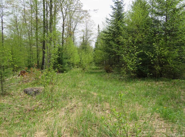 TBD Section 16, Covington, MI 49919