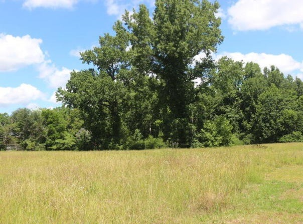0000 Sylvan Drive, Manning, SC 29102