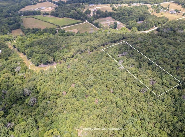 Lot 1 Cedarwood Drive, Marshfield, MO 65706