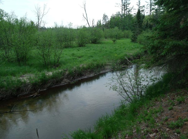 Spikehorn Trail, Indian River, MI 49749