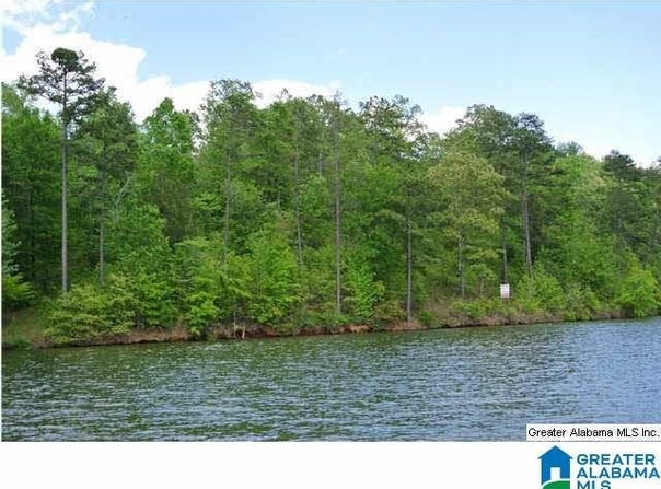 0 COUNTY ROAD 4311, WEDOWEE, AL 36278