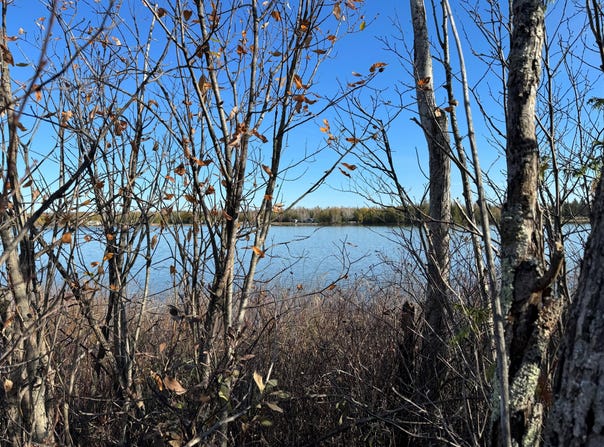 Outer Drive lot: #29, Presque Isle, MI 49777
