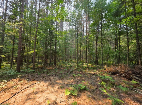 Lot 50 WHITETAILED DEER DR, Tomahawk, WI 54487