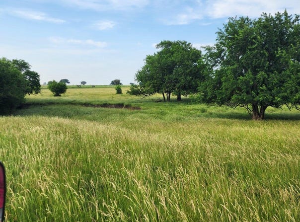 425862 E 290 Road, Chelsea, OK 74016