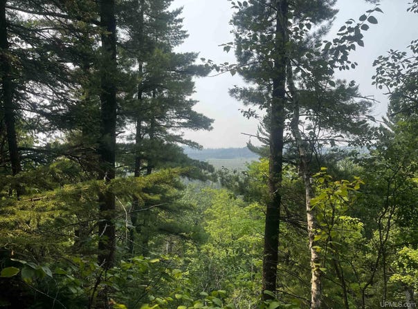 120 Acres Willow Creek, Ishpeming, MI 49849