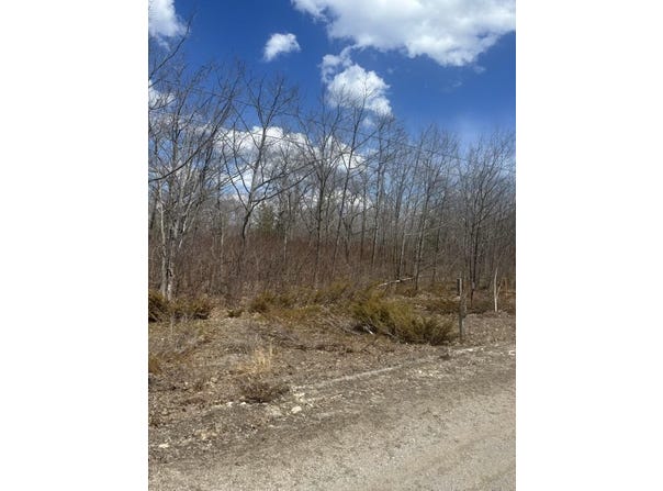 Highland Pines Road lot: #16, Presque Isle, MI 49777