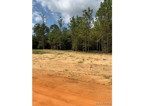 Deer Loop lot: 11, Camden, AL 36726