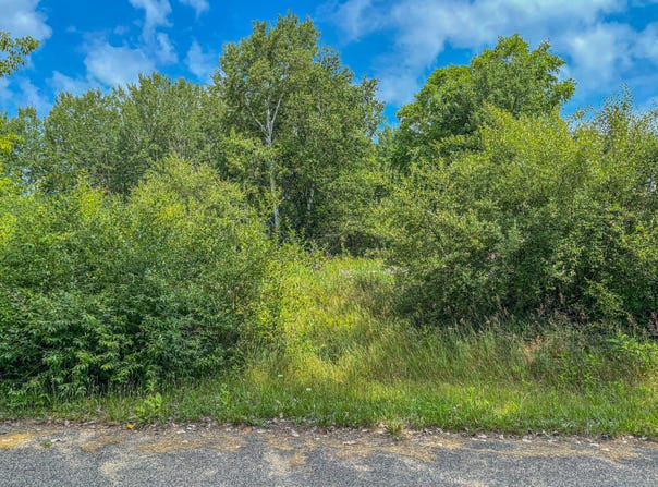 11580 Tanglewood Trail S. #24, Canadian Lakes, MI 49346