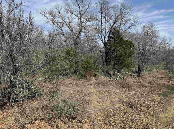 Lot 283-289 Aspermont Drive, Kingsland, TX 78639