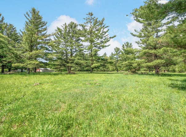 V/L 220th Avenue, Big Rapids, MI 49307