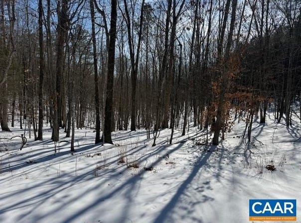 REDBIRD DR, GLADSTONE, VA 24553