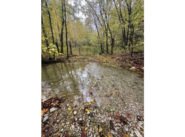Mcbroom Branch Rd, Baxter, TN 38544