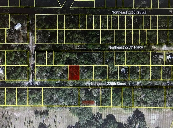 11545 NE 225TH STREET, 4.5.6, FORT MC COY, FL 32134