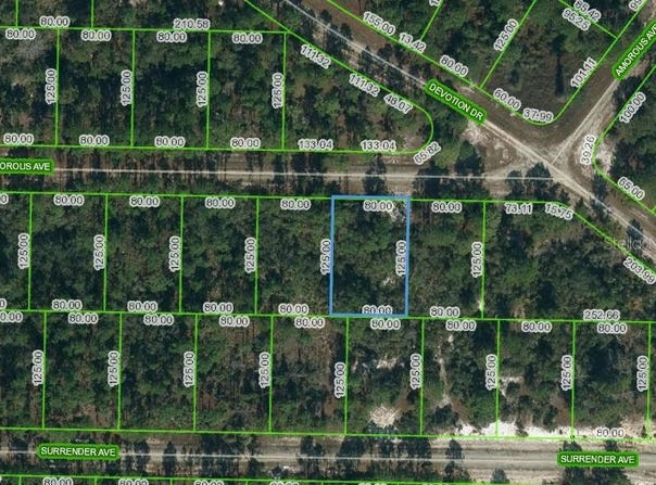 427 AMOROUS AVENUE, LAKE PLACID, FL 33852