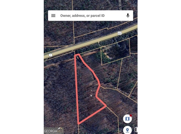 0 Hwy 431, Roanoke, AL 36274