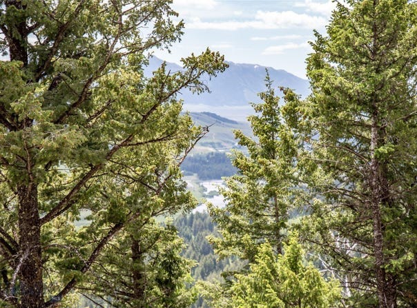 Sun West Ranch lot: 37, Cameron, MT 59720