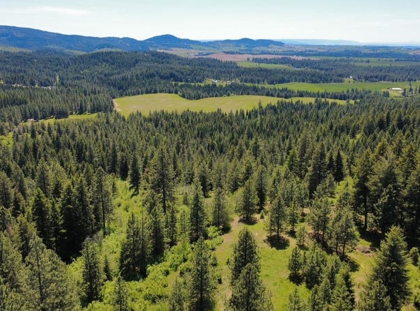 Tbd Smokey Bear Ln, Kendrick, ID 83537