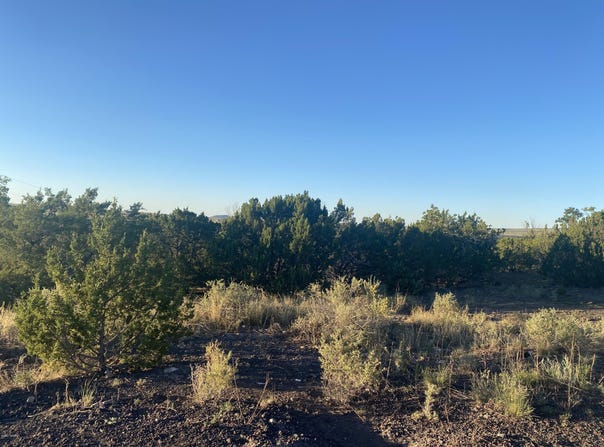 Sunset Drive lot: 10, Eagar, AZ 85925