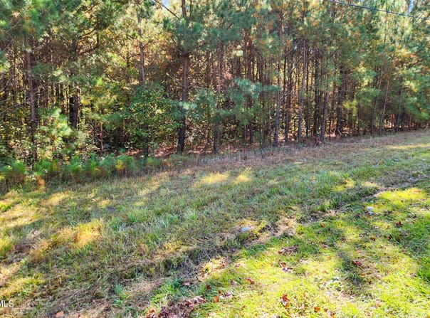 Tract 1a Abattoir Road, Coats, NC 27521