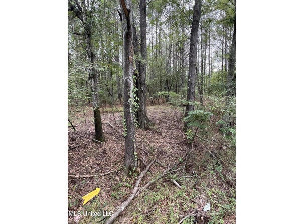 00 Dunn Road, Terry, MS 39170