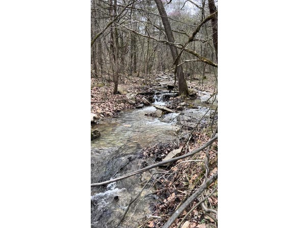 Woodland Lake Drive lot: 1, Shell Knob, MO 65747