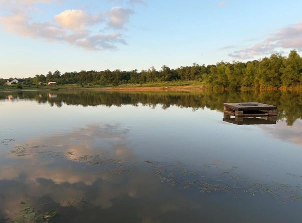 CR 251, OXFORD, MS 38655