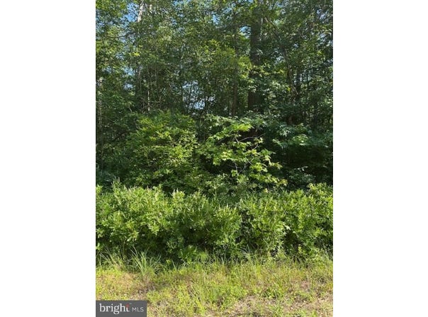Lot 22 LAKE DRIVE, COLONIAL BEACH, VA 22443