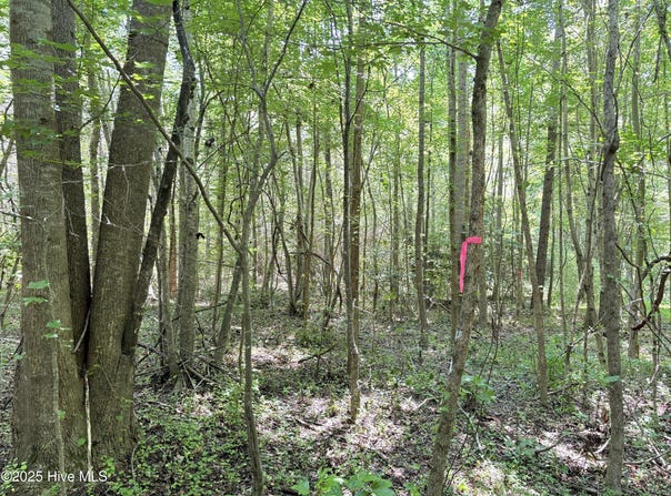 Lot 22 Buckhorn Church Road, Como, NC 27818
