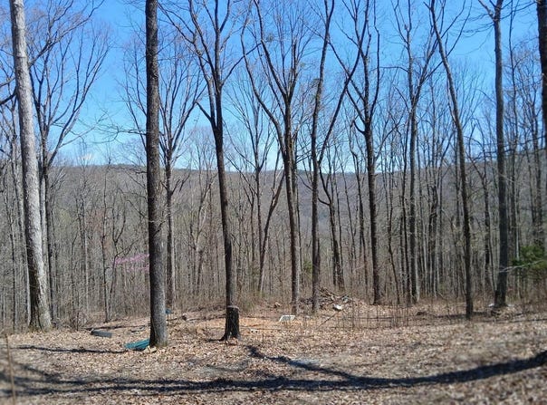 377 Blowing Cave Road, Gurley, AL 35748