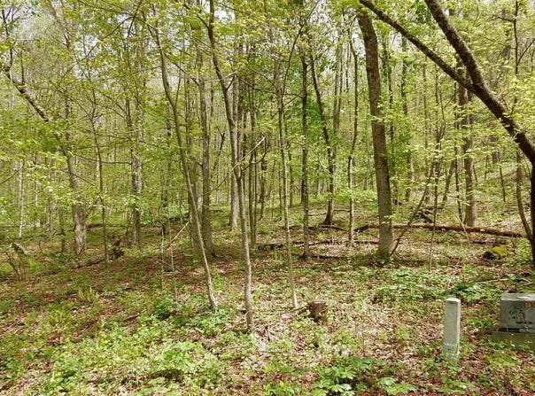 37 FLAG ROCK TRL, HOT SPRINGS, VA 24445