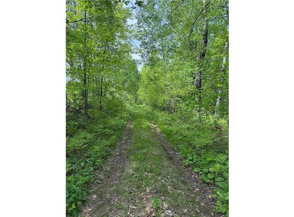 Tbd Range Line Rd, Nickerson Twp, MN 55756